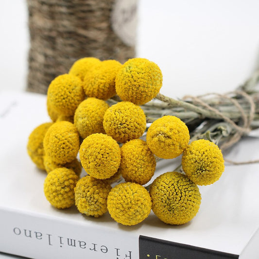 Bouquet de maison de fleurs séchées boule dorée avec fleurs