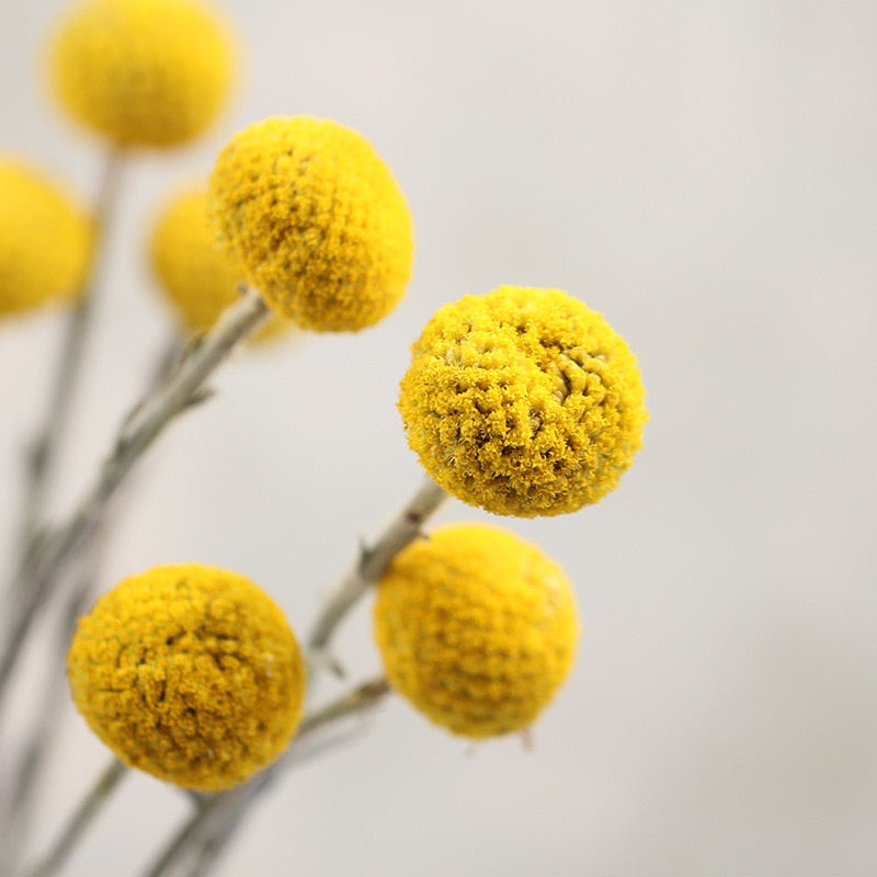 Bouquet de maison de fleurs séchées boule dorée avec fleurs