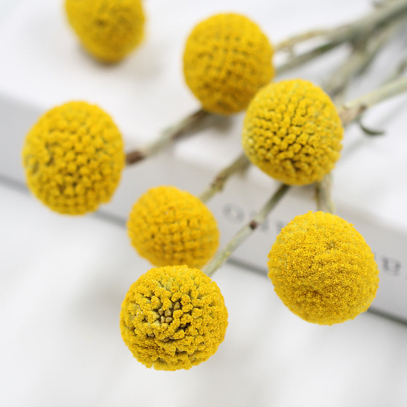 Bouquet de maison de fleurs séchées boule dorée avec fleurs