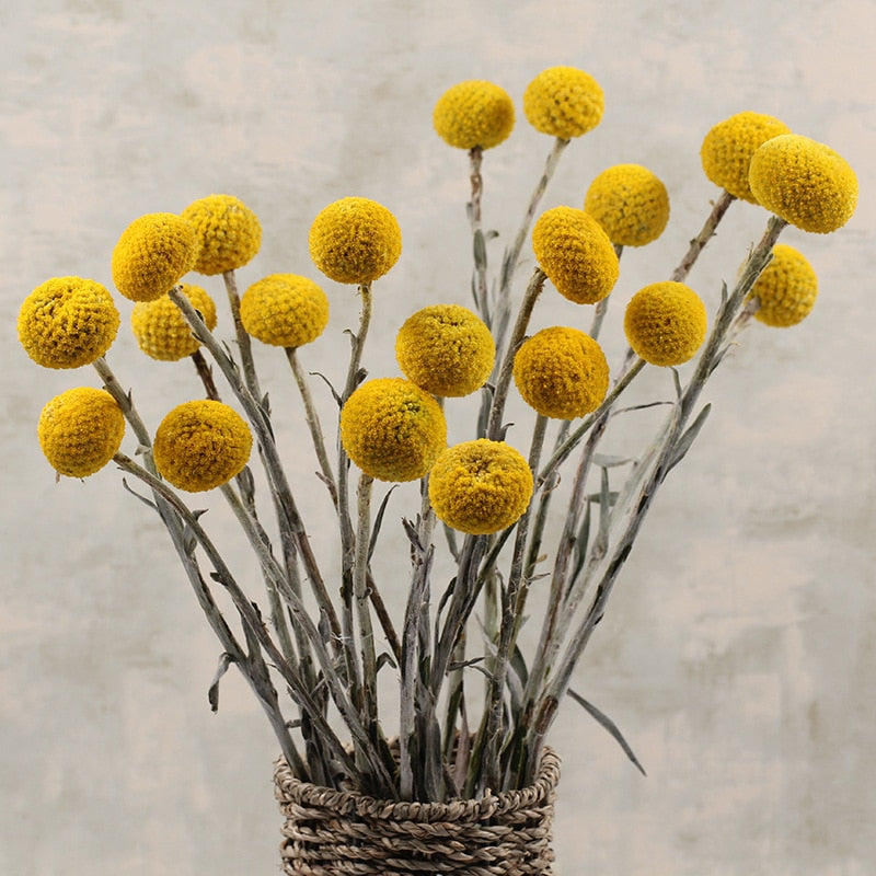 Bouquet de maison de fleurs séchées boule dorée avec fleurs